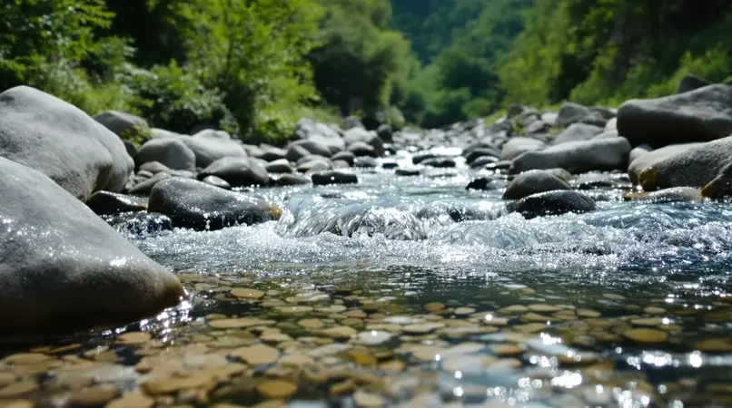《山涧清音》剧照封面 - 水母影视